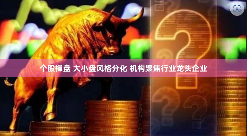 个股操盘 大小盘风格分化 机构聚焦行业龙头企业