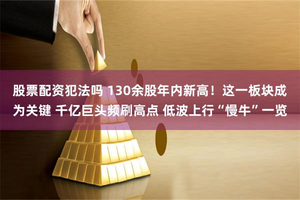 股票配资犯法吗 130余股年内新高！这一板块成为关键 千亿巨头频刷高点 低波上行“慢牛”一览