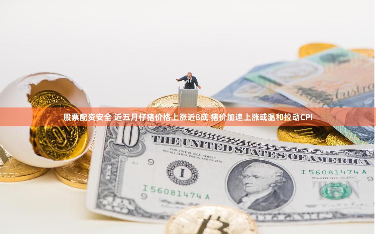 股票配资安全 近五月仔猪价格上涨近8成 猪价加速上涨或温和拉动CPI