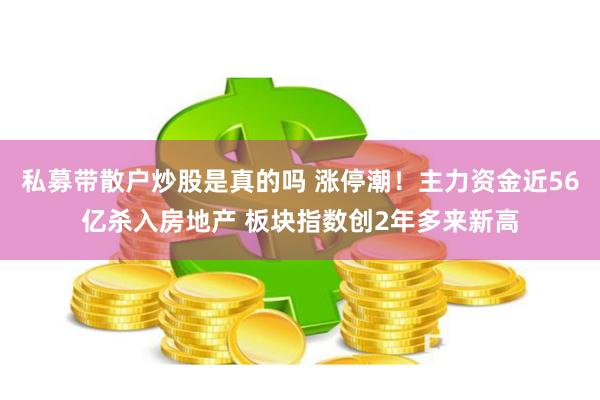 私募带散户炒股是真的吗 涨停潮！主力资金近56亿杀入房地产 板块指数创2年多来新高