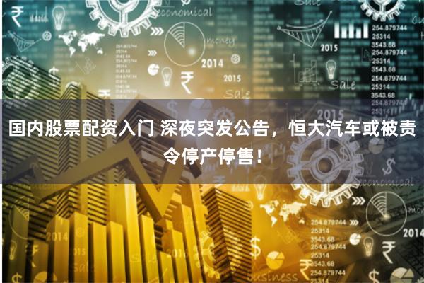 国内股票配资入门 深夜突发公告，恒大汽车或被责令停产停售！