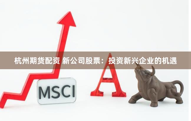 杭州期货配资 新公司股票：投资新兴企业的机遇