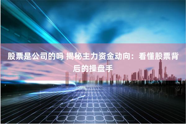 股票是公司的吗 揭秘主力资金动向：看懂股票背后的操盘手