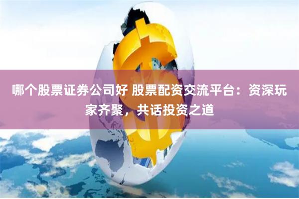 哪个股票证券公司好 股票配资交流平台：资深玩家齐聚，共话投资之道